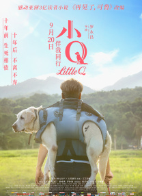 宋轶和蛇的瓜